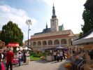 Den zvířat s TOP 09 v Prostějově