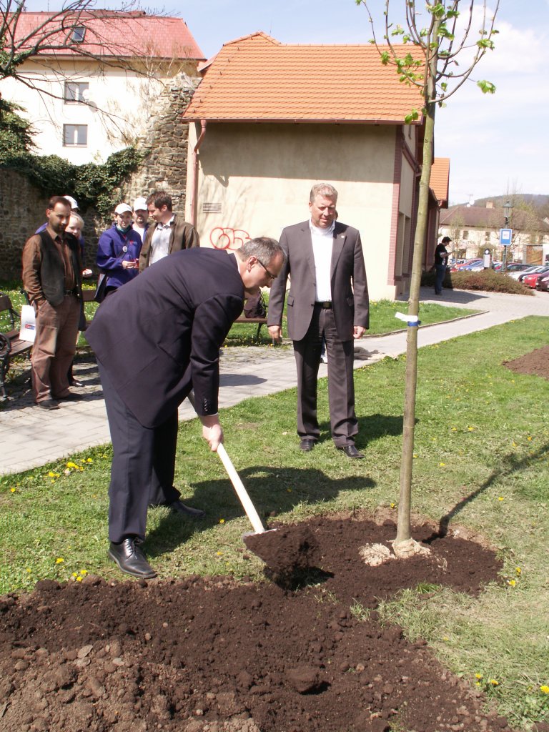 Sázení lípy s Miroslavem Kalouskem v Berouně