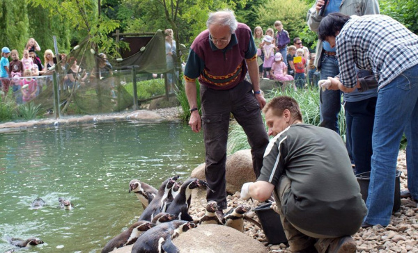 TOP 09 rozzářila Zoologickou zahradu Plzeň