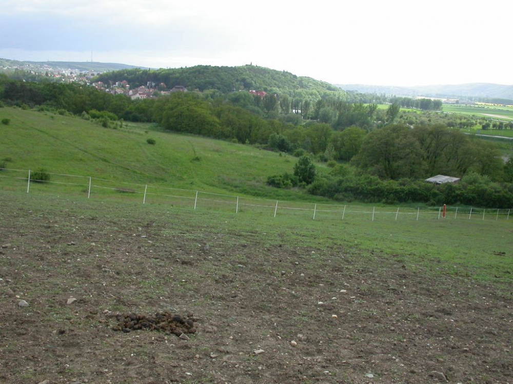 V Komořanech se stavět nebude (TZ MČ P12)