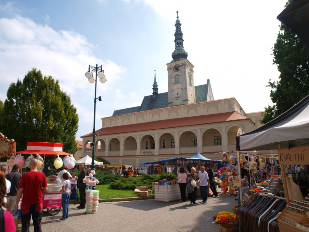 Otevřený dopis 1. náměstkovi primátora Mgr. Jiřímu Pospíšilovi