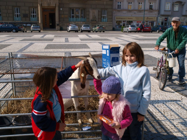 Fotoreportáž: Den zvířat s TOP 09 v Prostějově