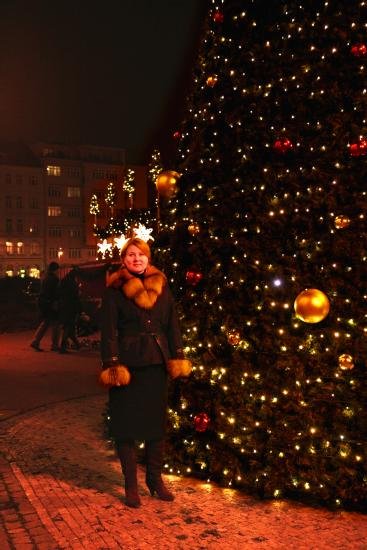 Čtyři vánoční stromy v Praze 12