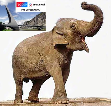 TOP 09 podporuje v Ústí odchov slonů