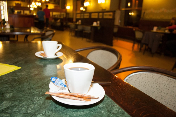 TOP 09 Praha 1: Galerie 1 hostí Vostrý kafe