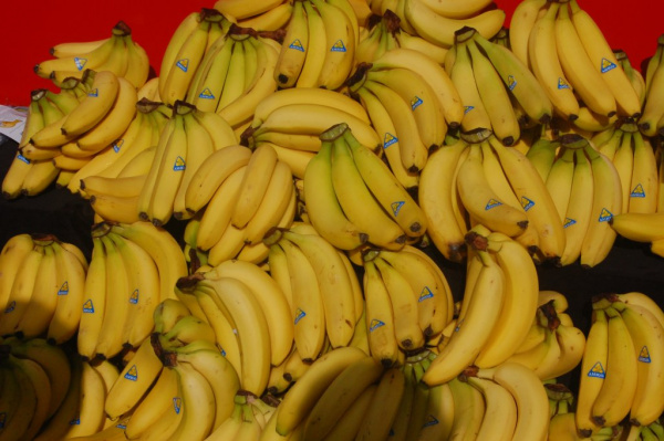 Banány a Evropská unie. Nevěřte všemu