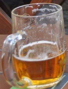 pivo