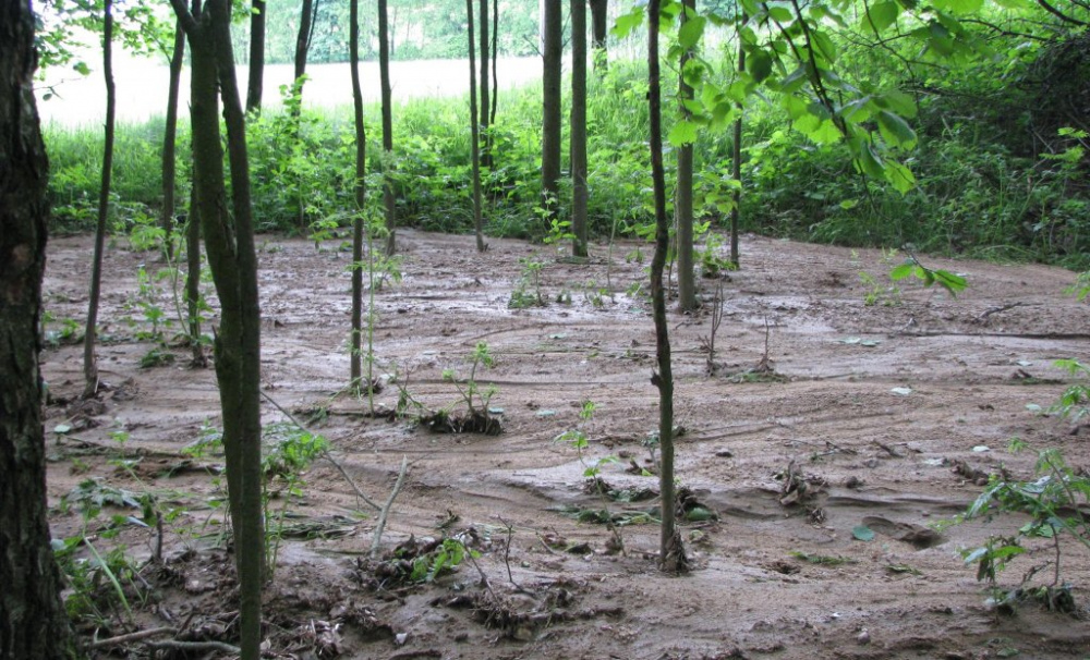 Povodeň v Novém Rychnově aneb co může způsobit bramborové pole