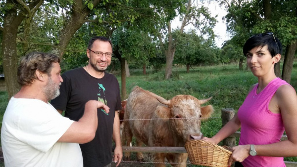 Podporujeme malé a střední podnikatele i v Ústeckém kraji