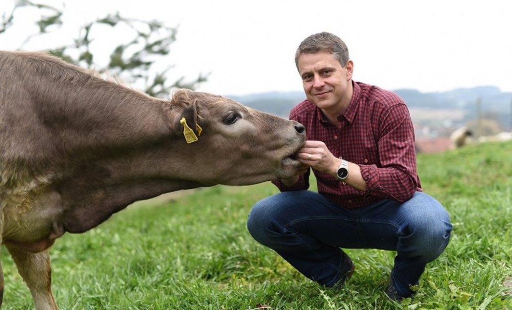 Mazat lidem kolem huby med se nevyplácí ani v pohádkách.