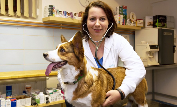 Co chce změnit veterinární lékařka z Tábora Radka Vaňousová