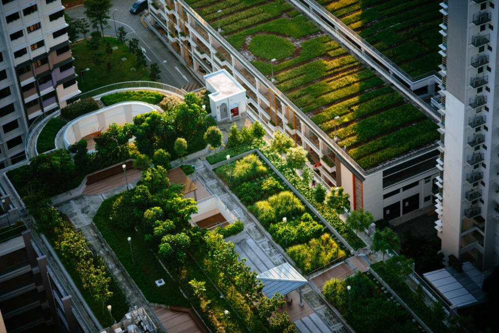 Zelená střecha na slovanském paneláku pomůže k lepšímu klimatu ve městě