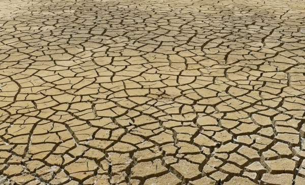 Klimatická změna v Liberci