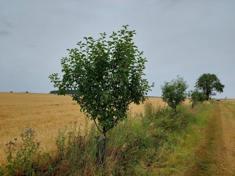 Jiří Michalisko: farmářem z donucení