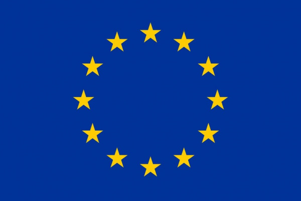Right to vote in the European Parliament election in Czech republic