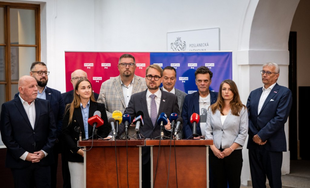 NAŠI je v&nbsp;Senátu zastaví. TOP&nbsp;09 spustila horkou fázi kampaně do senátních voleb